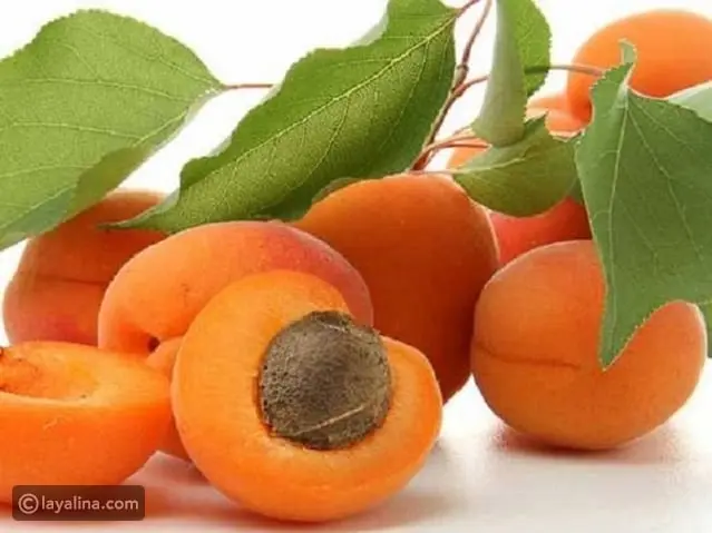 القيمة الغذائية للمشمش