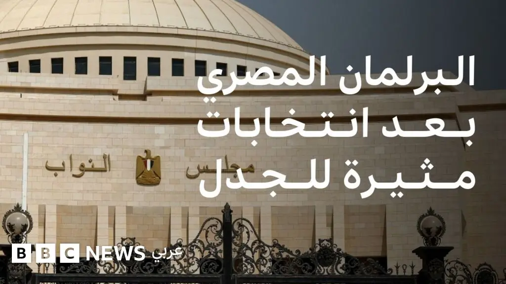 مجلس الشعب المصري: ما هي ملامح البرلمان المصري بعد أطول انتخابات تشريعية في البلاد؟ - BBC News عربي