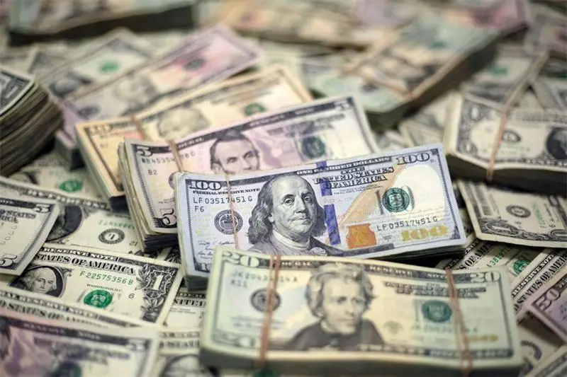 سعر الدولار مقابل الجنيه في البنوك المصرية الأحد 11 يناير 2026