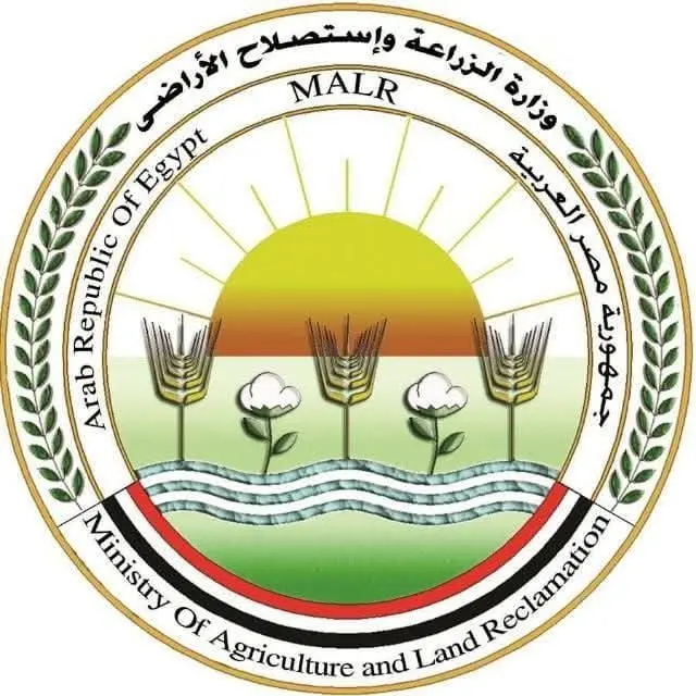 الزراعة تعلن فتح السوق الأوزبكي أمام صادرات مصر من الفراولة الطازجة - أموال الغد