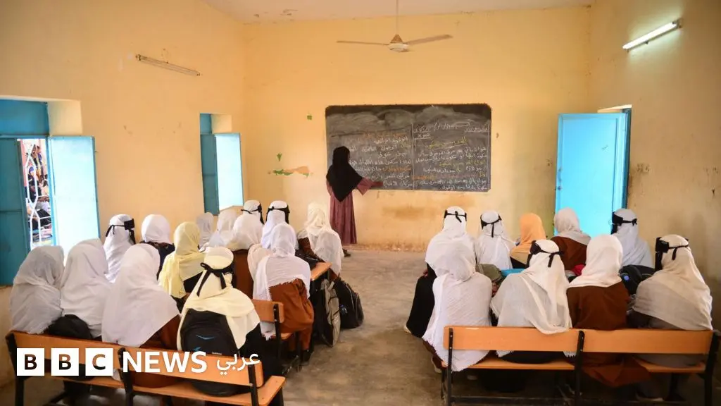 حرب السودان: مع دخول الصراع يومه الألف، منظمات غير حكومية تقول إن نساء يُغتصبن كل ساعة في مناطق بدارفور - BBC News عربي