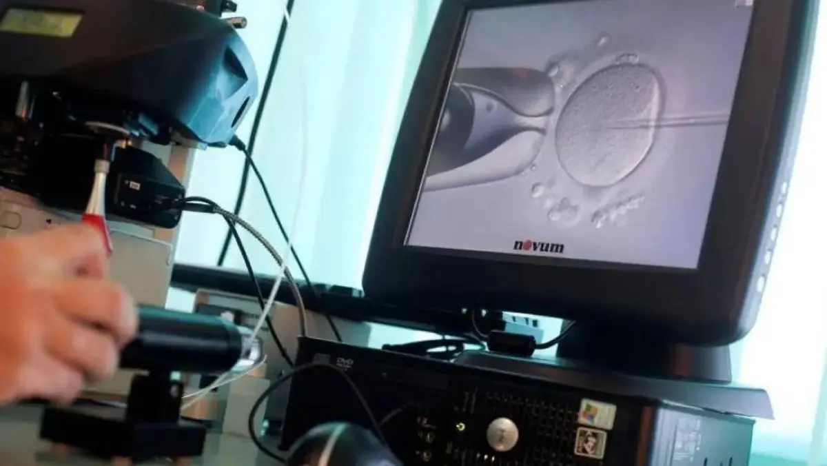 هاشتاق عربي - تجديد البويضات... اختراق علمي قد يعزز فرص نجاح التلقيح الصناعي