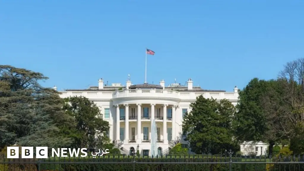 الولايات المتحدة تصنف ثلاثة فروع للإخوان المسلمين "منظمة إرهابية" اثنان بمعايير خاصة - BBC News عربي