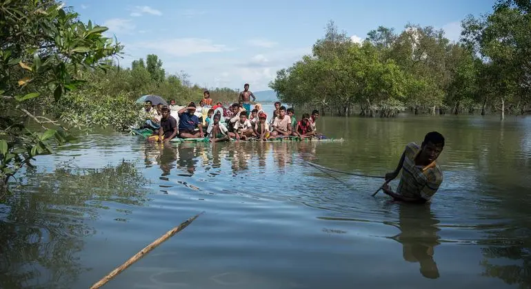 محكمة العدل الدولية تواصل نظر قضية غامبيا ضد ميانمار بتهمة ارتكاب إبادة جماعية بحق الروهينجا