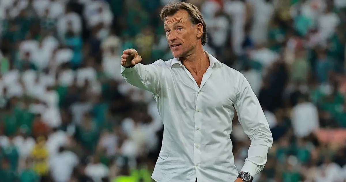 هيرفي رينارد: وليد الركراكي يستحق تمثالاً وهذه نصيحتي في نهائي إفريقيا