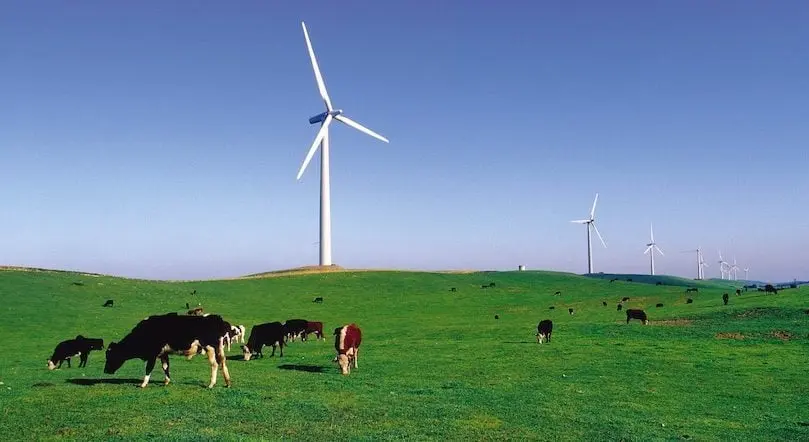 الطاقة المتجددة في أستراليا تضيف 7 غيغاواط إلى الشبكة خلال 2025 - الطاقة