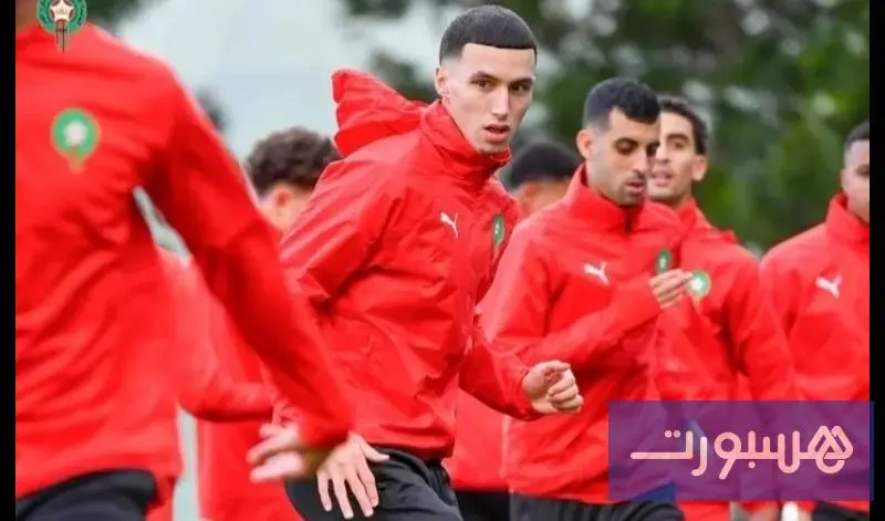 الأسود قبل النهائي: جاهزون للسنغال واللقب يتطلب القتال حتى آخر دقيقة - هسبورت