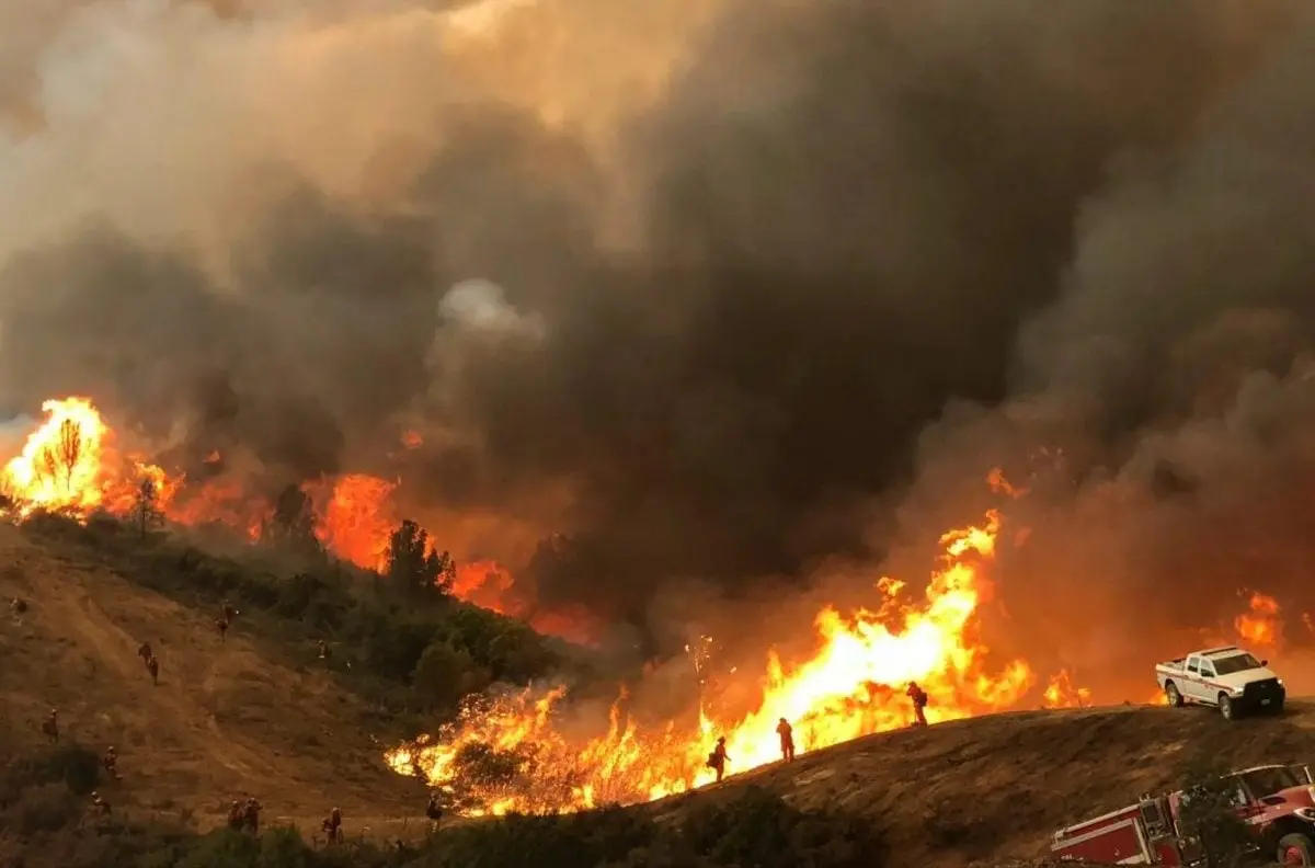 شركة كهرباء أميركية تقاضي سلطات لوس أنجلوس بسبب حريق - الطاقة