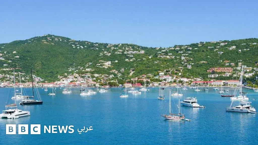 غرينلاند: لماذا باعت الدنمارك مجموعة من الجزر في البحر الكاريبي للولايات المتحدة، وما علاقة ذلك بغرينلاند؟ - BBC News عربي