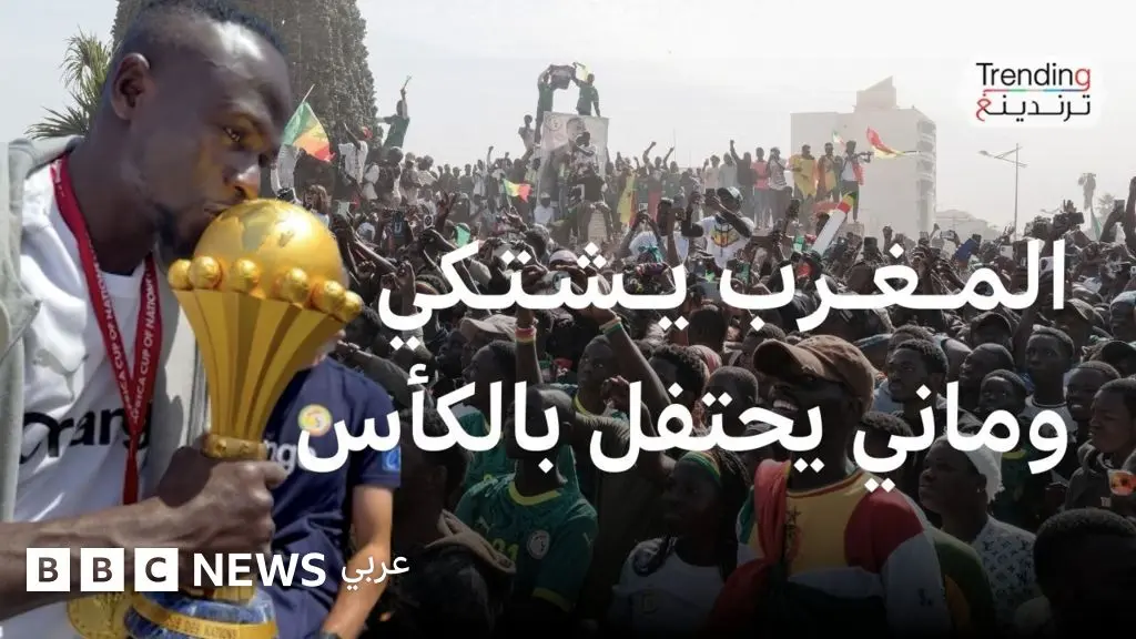 السنغال تحتفل باللقب، والمغرب يصعد رسمياً للفيفا والكاف - BBC News عربي