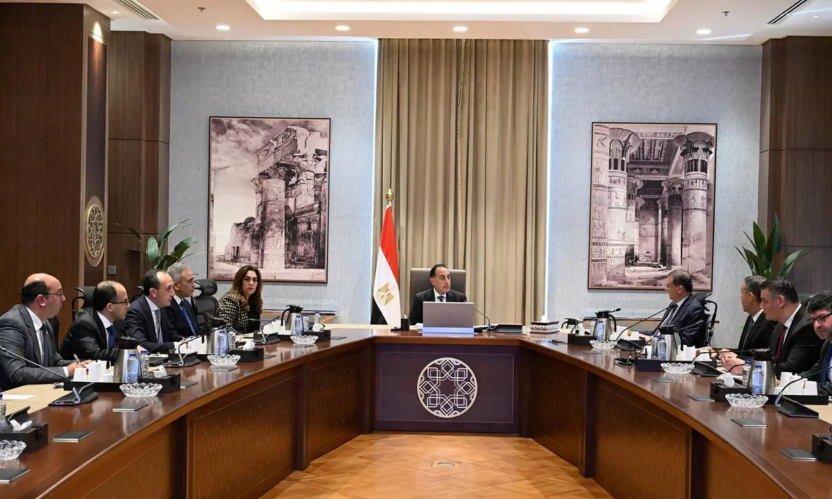 الحكومة تعتزم إنشاء مراكز إيواء للحيوانات الضالة بعيداً عن الكتلة السكنية - أموال الغد