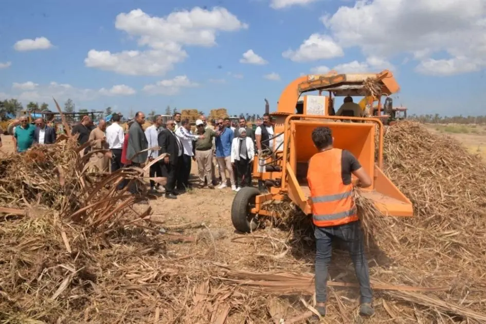 مصر.. مصانع تدوير المخلفات تقضي على السحابة السوداء