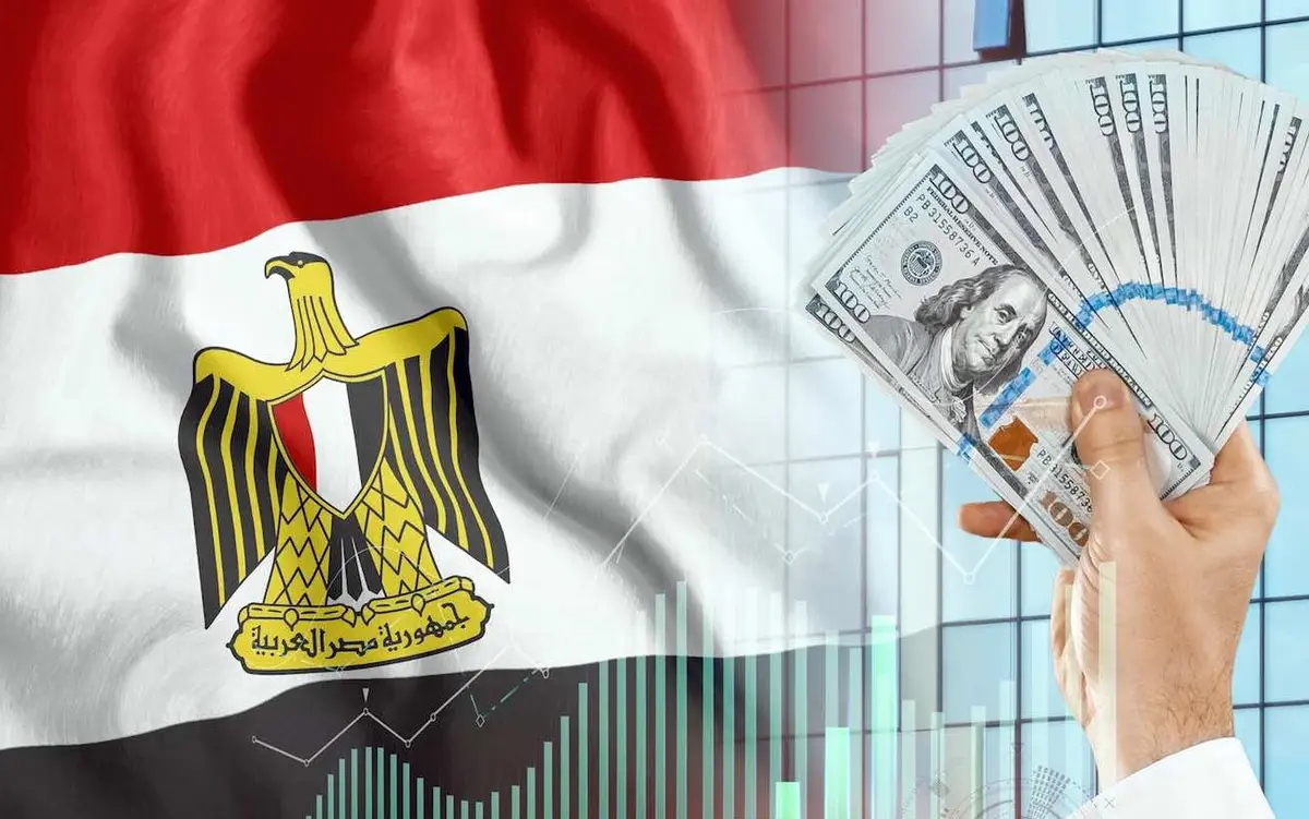 البنك المركزي: صافي تدفقات الاستثمار الأجنبي المباشر يسجل 2.4 مليار دولار بنهاية سبتمبر 2025 - أموال الغد