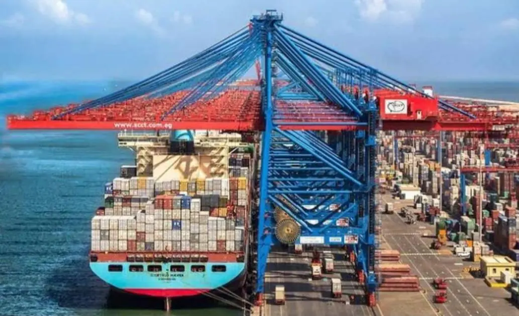 11.5 مليار دولار صادرات زراعية مصرية