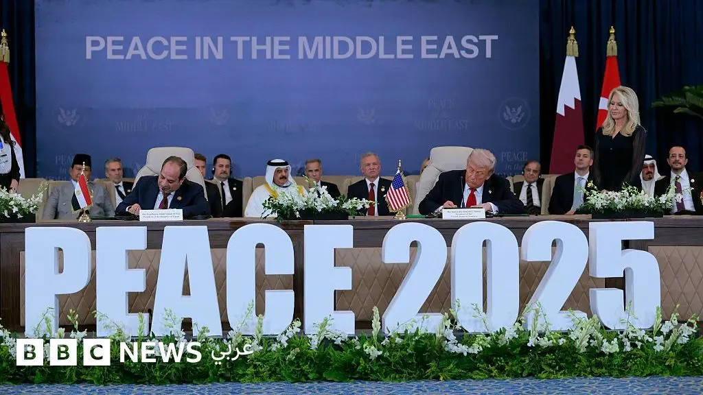 كيف يواجه الرئيس ترامب تحديات تشكيل "مجلس السلام" في غزة؟ - BBC News عربي