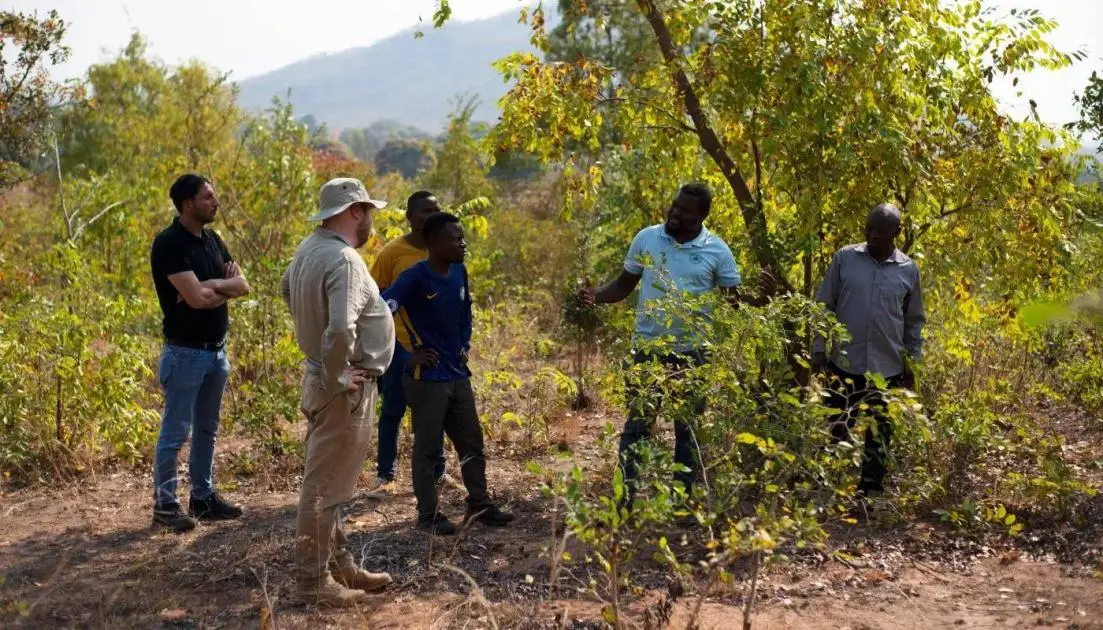 «شراكة الاقتصاد الأخضر» تحشد تمويلاً دولياً لإزالة الكربون في مالاوي