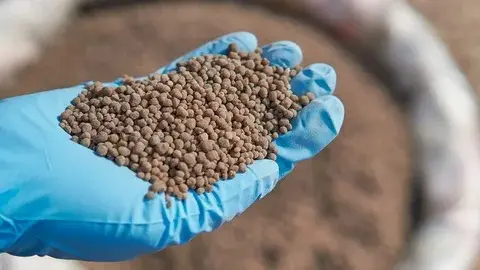 بملياري دولار.. شركة صينية تخطط لإنشاء مركز صناعي للفوسفات في مصر - Economy Plus