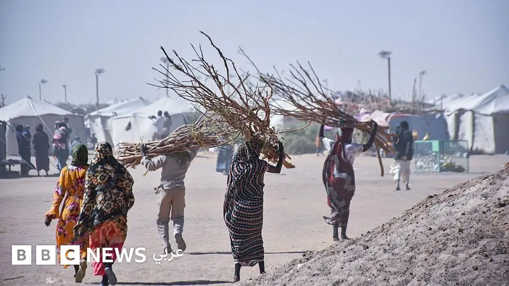 الحرب في السودان: أكثر من 4 ملايين طفل وامرأة حامل يواجهون سوء التغذية الحاد - BBC News عربي