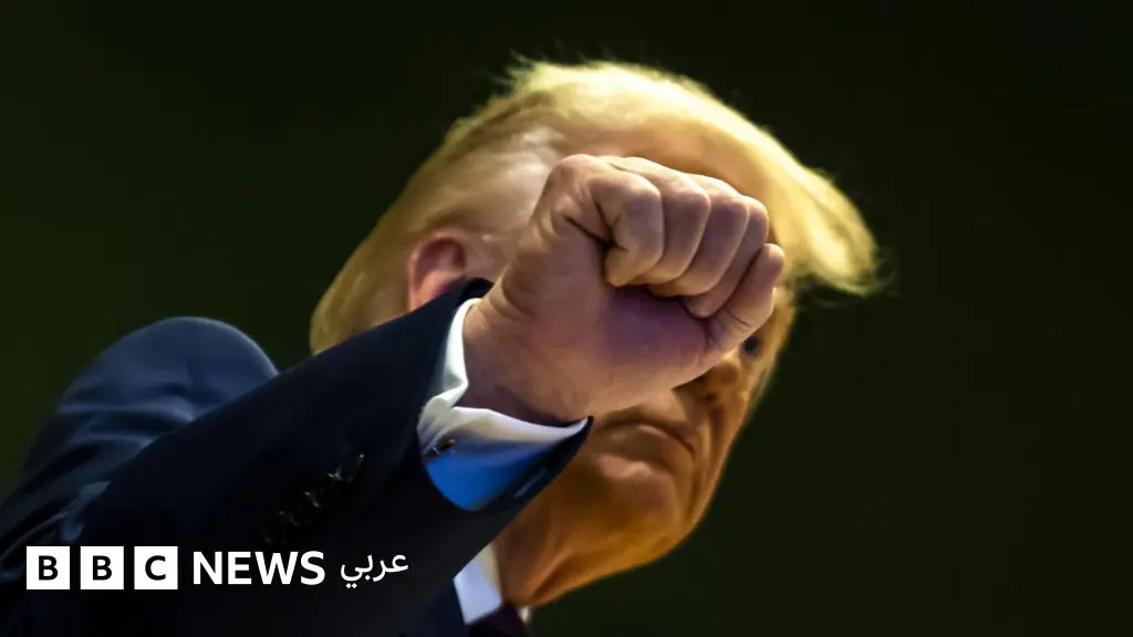 دونالد ترامب:"مهينة وسخيفة"، مسؤولون أوروبيون يرفضون تصريحاته بشأن دور "الناتو" في أفغانستان - BBC News عربي