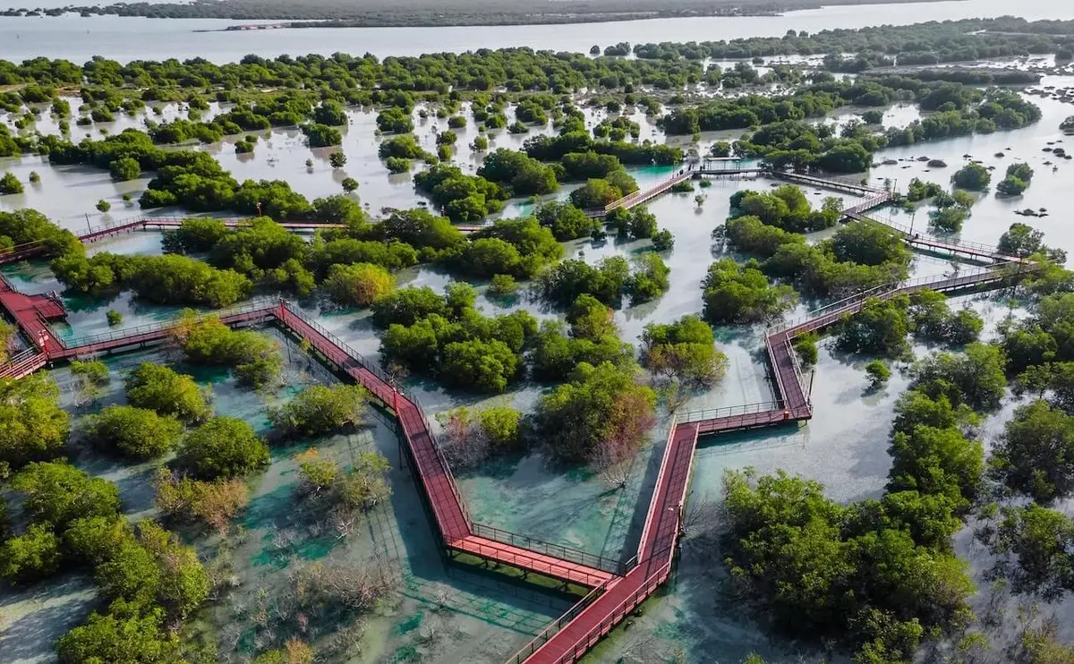 العمل المناخي يتصدر اهتمامات مؤسسات إماراتية.. خطوات نحو الاستدامة (تقرير) - الطاقة