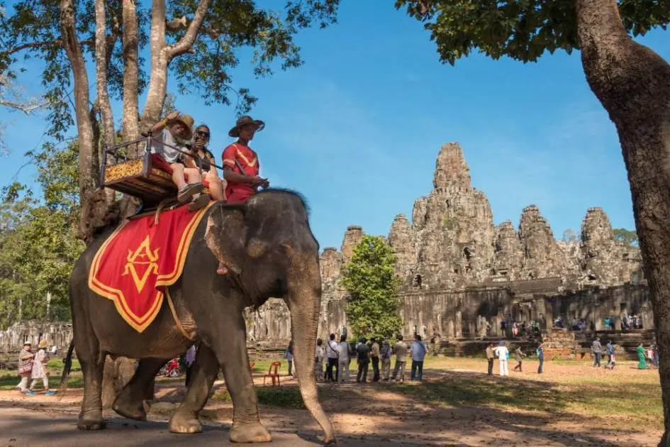 كمبوديا.. عالم الفيلة في «مملكة العجائب»