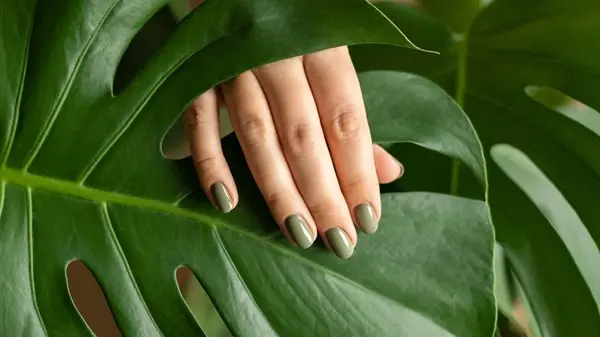 زهرة الخليج - اللون الزيتوني يسيطر على المناكير.. صيحة الأظافر المبتكرة أصبحت رسمية