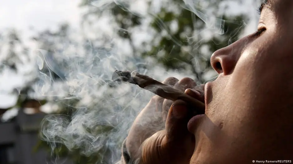 القنب: ما هي الكمية التي تجعلك مدمنا وفي خطر؟