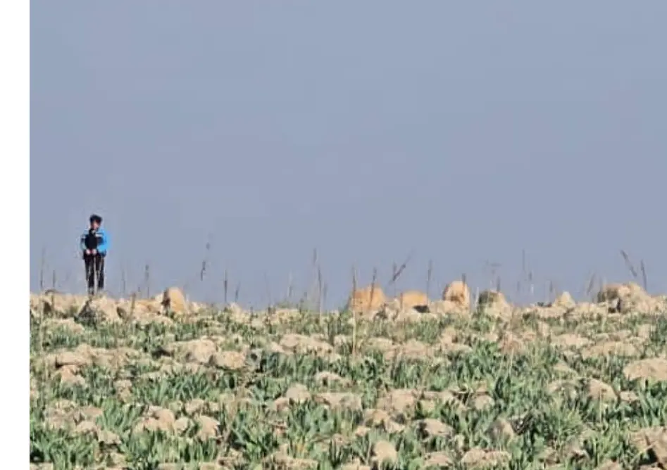 الاحتلال يعتقل شابين من رعاة الأغنام في ريف القنيطرة الجنوبي قبل الإفراج عنهما