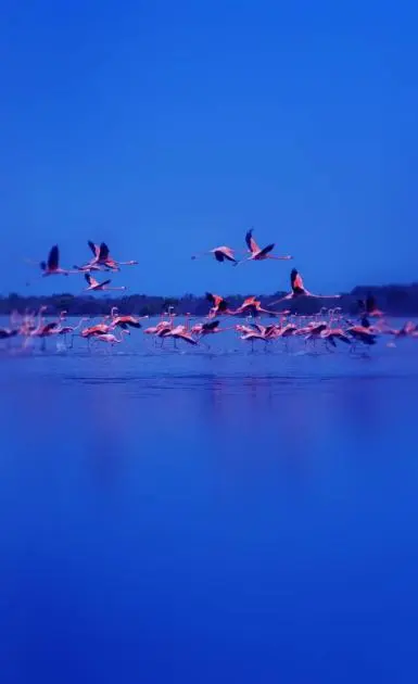 وجهات تعزف سيمفونية الجذب السياحي في عجمان