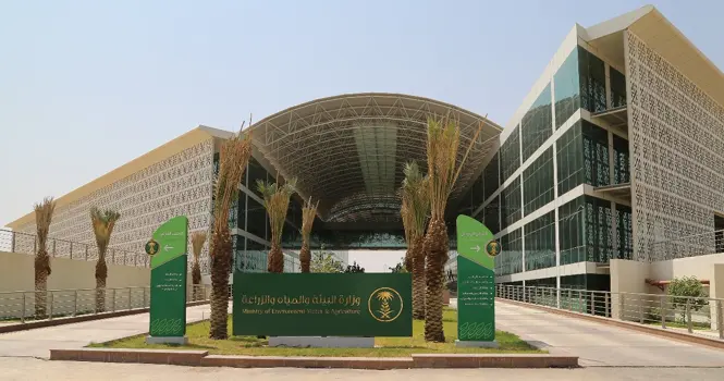 وزارة البيئة والمياه والزراعة: إيقاف زراعة الأعلاف المعمرة بدءاً من 16 نوفمبر القادم