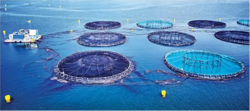 دليل شامل.. فرص واتفاقات كبرى في معرض الثروة السمكية (SIMEC) بالرياض