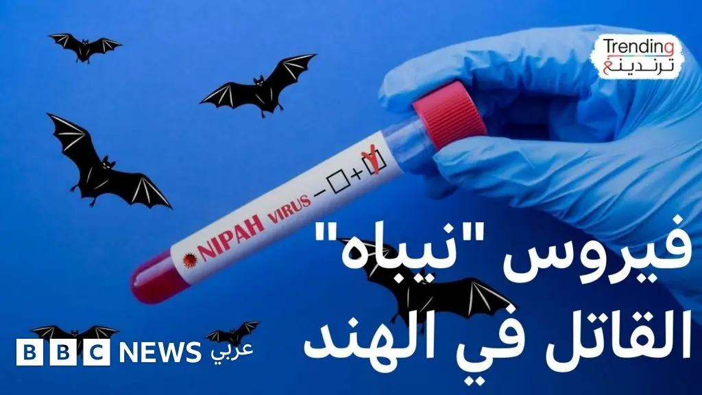 فيروس "نيباه" القاتل في الهند - BBC News عربي