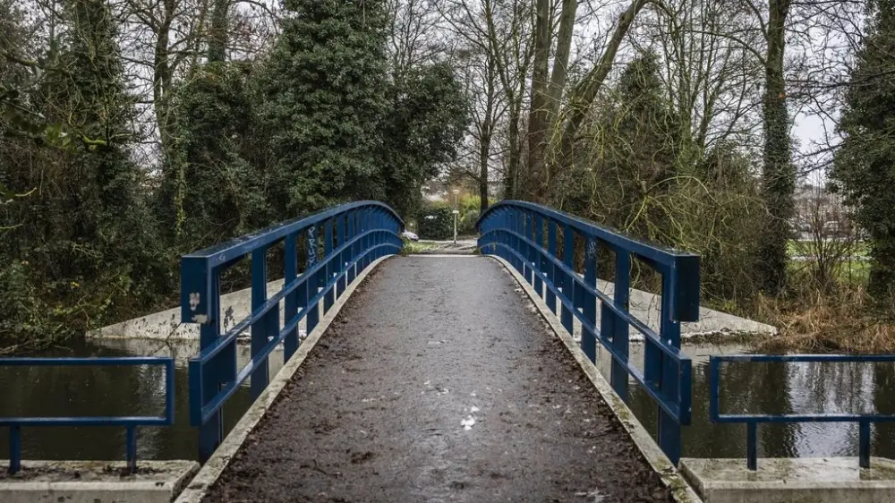 اعتقال مشتبه به في مقتل مراهقين سوريين بالرصاص في أمستردام