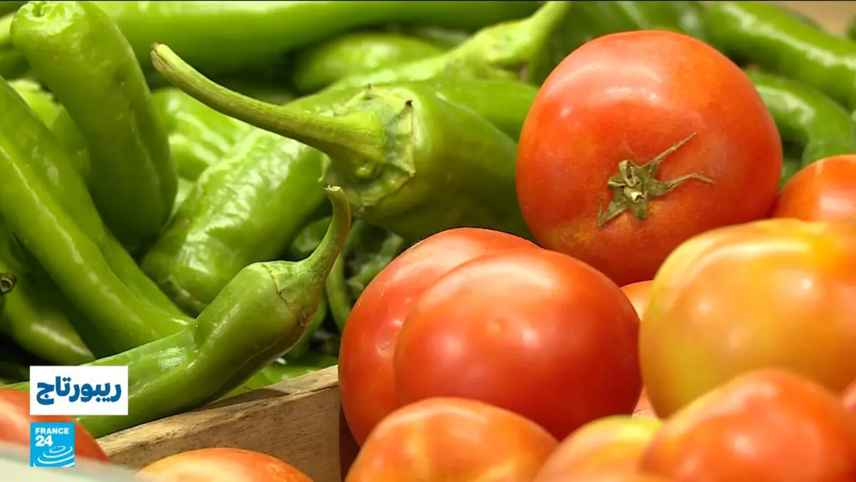 ريبورتاج - "ينبوت".. تجربة محلية تعكس صعود المنتجات العضوية في الأردن