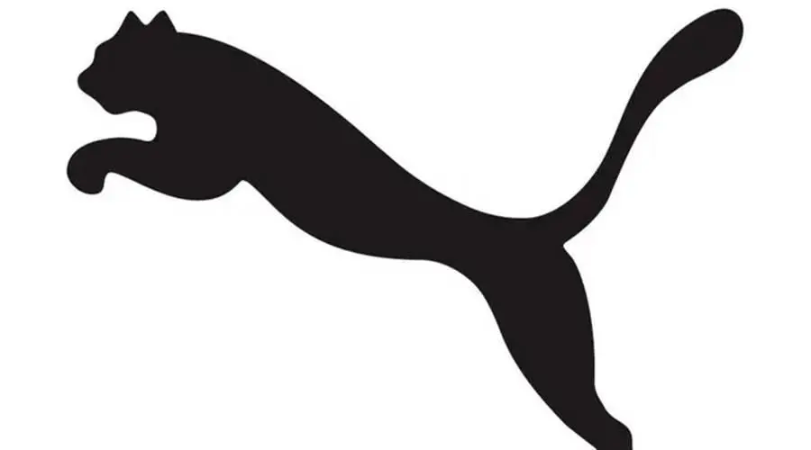 «عائلة بينو» تبيع أسهمها في«بوما» لـ «أنتا سبورتس» الصينية