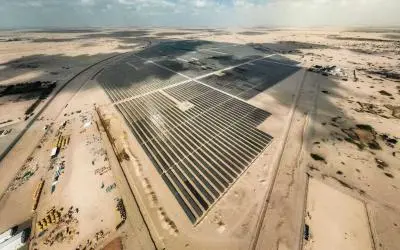 من القات إلى البن.. مبادرة فردية تنال الاستحسان