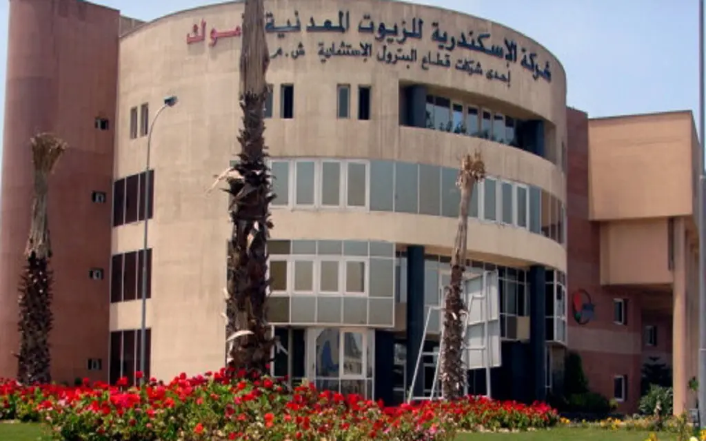 «أموك» تسجل 20.7 مليار جنيه مبيعات خلال 6 شهور - أموال الغد