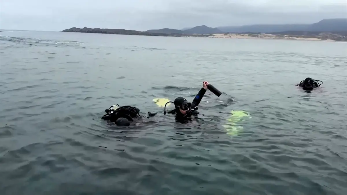 غواصون يستخرجون قناني نبيذ فاخرة من قاع البحر.. ما السبب؟