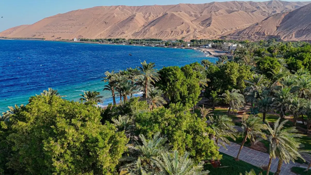 تبوك السعودية تزدهر بـ241 حديقة وواجهة بحرية مع نهاية عام 2025