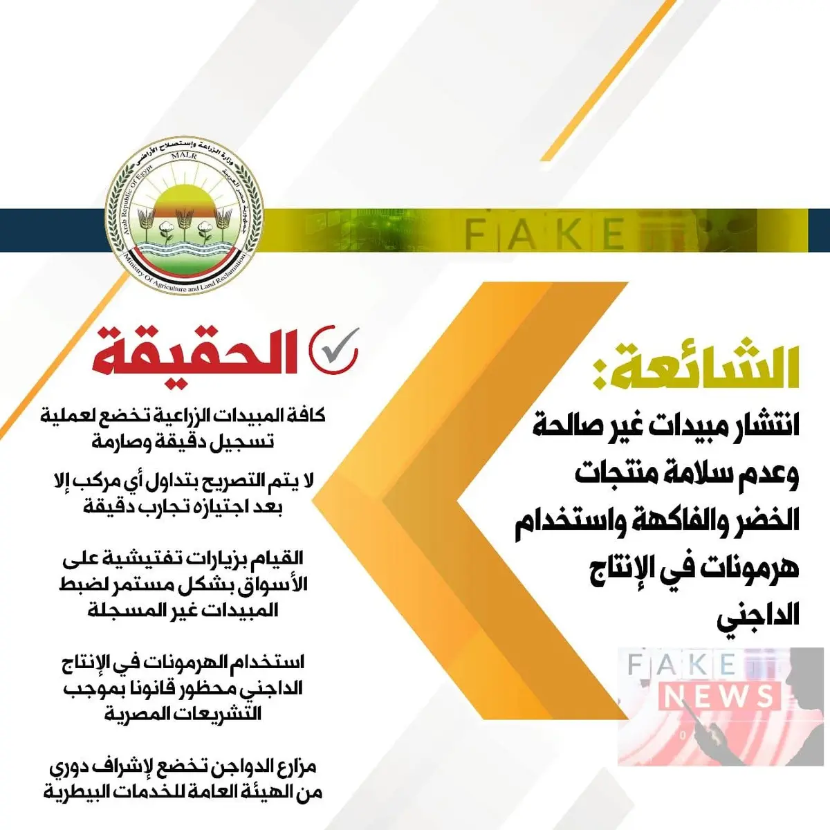وزارة الزراعة تؤكد سلامة المحاصيل الزراعية والدواجن وتوضح آليات الرقابة الصارمة - أموال الغد