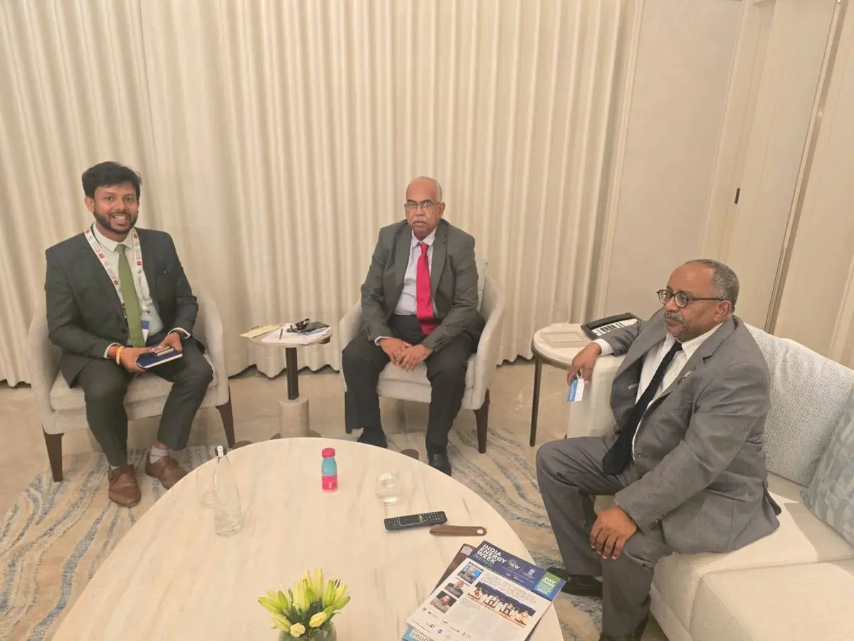 السودان يستعين بشركة هندية لإعادة تأهيل محطة كهرباء - الطاقة