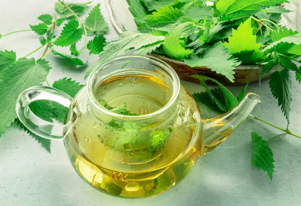 فوائد الشاي الأخضر وأسراره الصحية على الجسم والعقل