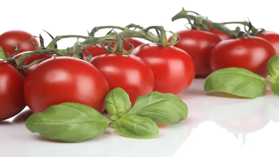 الحد الآمن لتناول الطماطم وفوائدها القلبية
