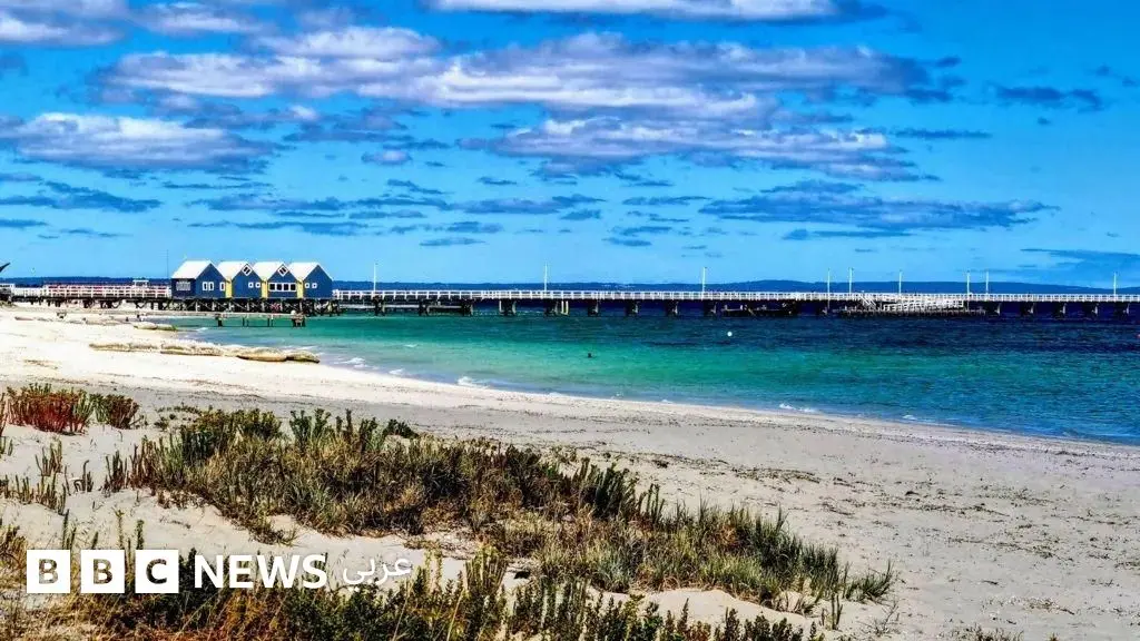 مراهق "خارق" سبح لساعات في عرض البحر لإنقاذ عائلته - BBC News عربي