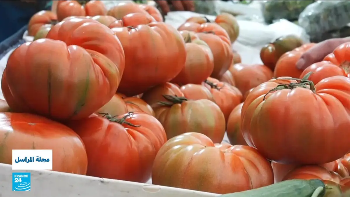 مجلة المراسل - ماذا نأكل؟ هل المنتجات والزراعات العضوية هي الحل لصحة أفضل؟