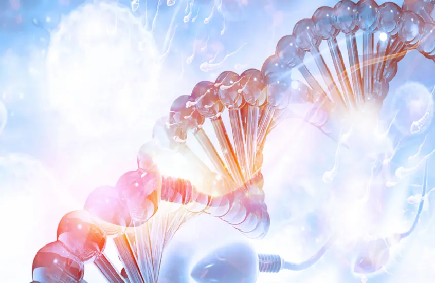 دراسة: متوسط ​​عمر الإنسان قابل للتوريث أكثر من المتوقع