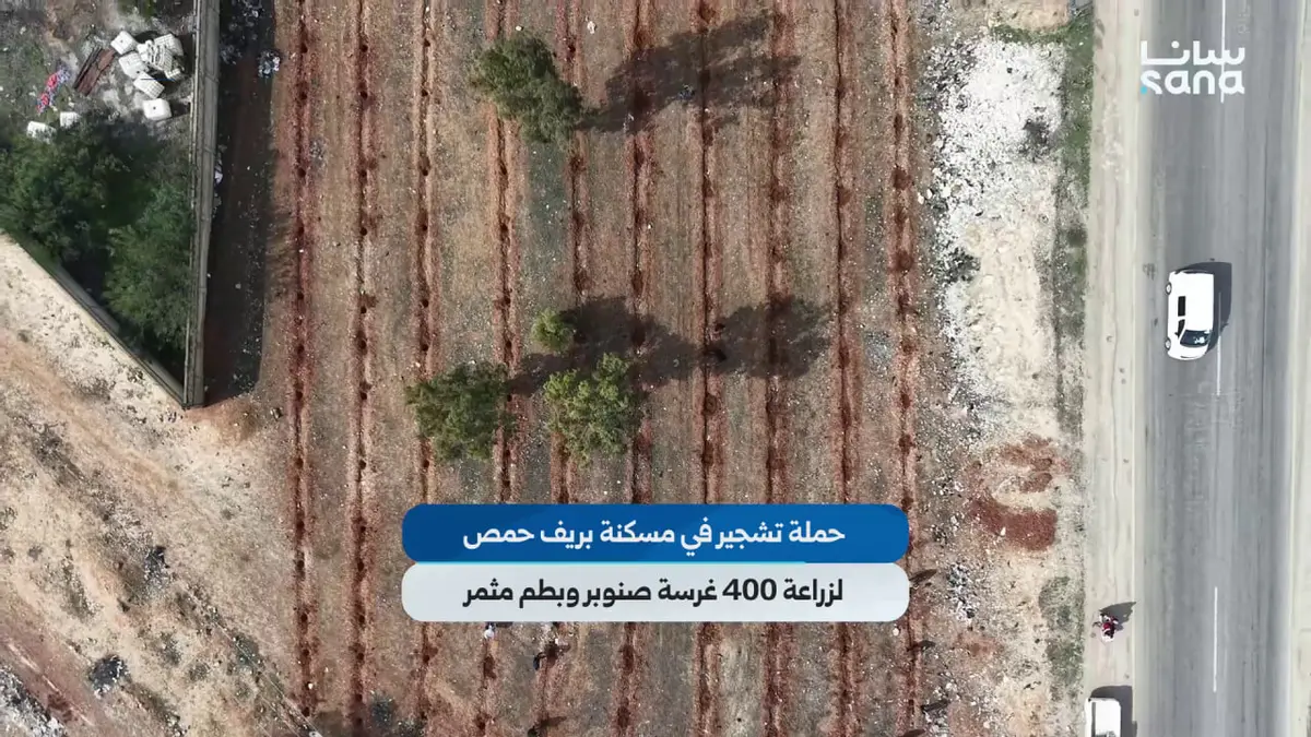 حملة تشجير في مسكنة بريف حمص لزراعة 400 غرسة صنوبر وبطم مثمر