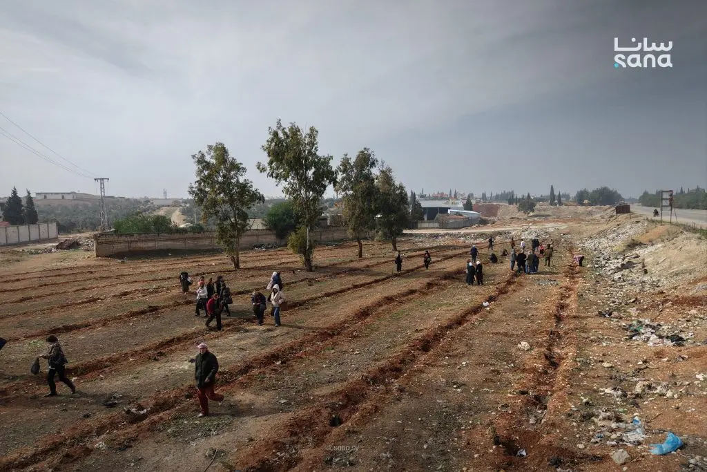 حملة تشجير في مسكنة بريف حمص وزراعة 400 غرسة صنوبر وبطم مثمر