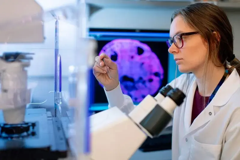 دراسة ألمانية تفتح آفاقاً جديدة للتنبؤ بفشل الكلى المزروعة مبكراً