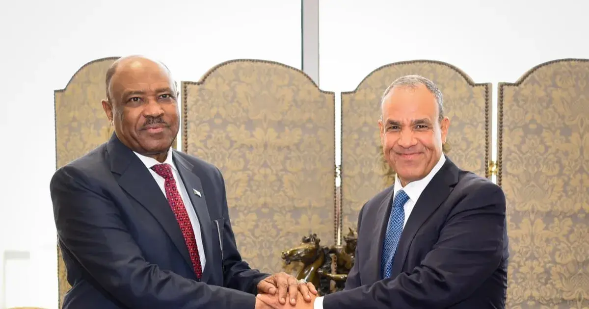 وزيرا خارجية مصر والسودان يبحثان تعزيز التعاون وملف مياه النيل